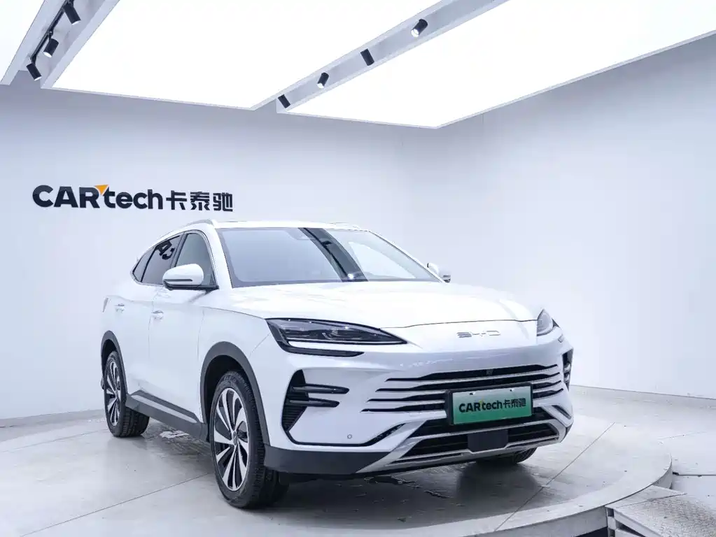 BYD PLUS New Energy — фото 8