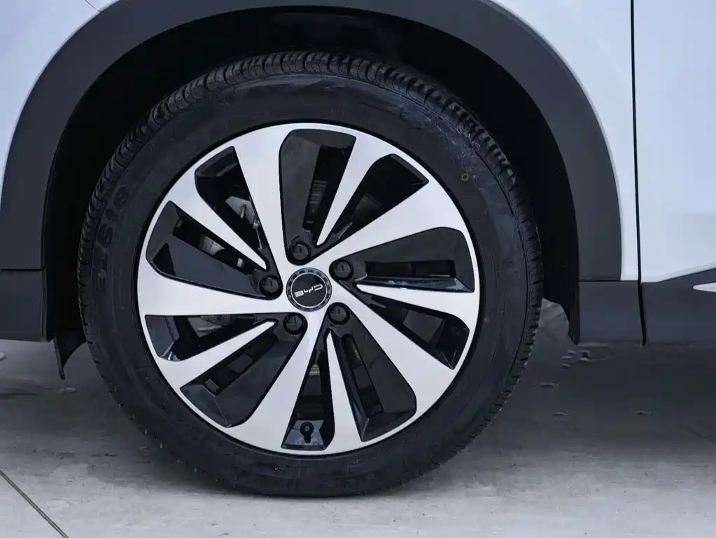 BYD PLUS New Energy — фото 10