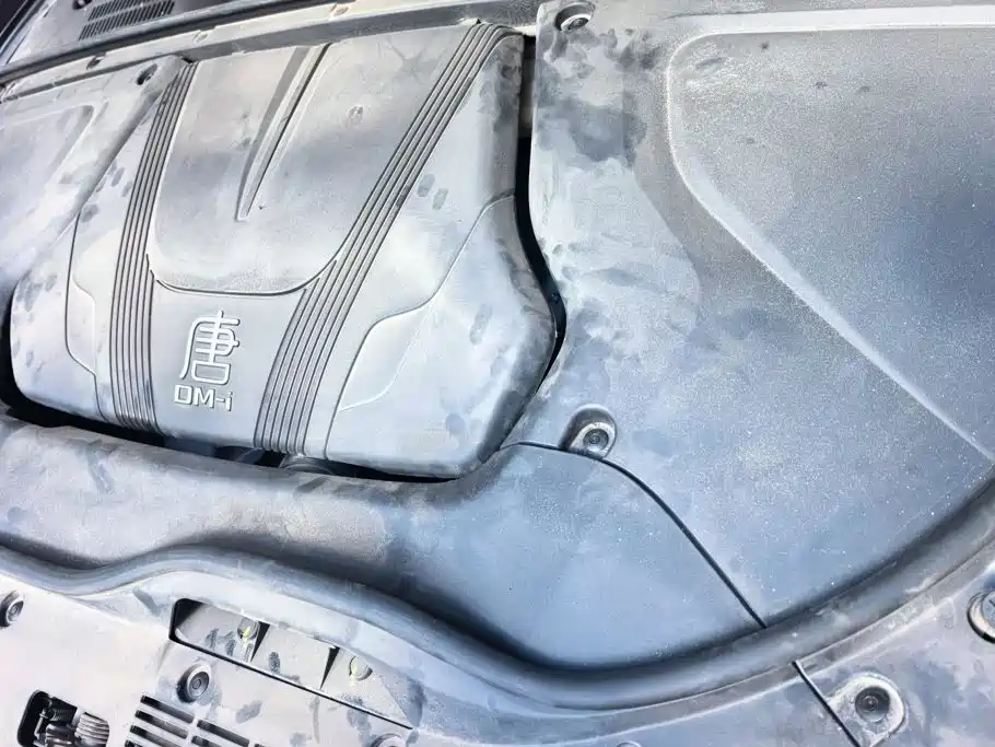 BYD Tang New Energy — фото 10