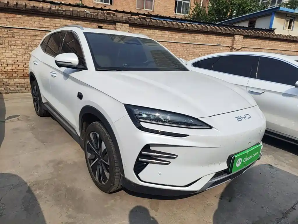 BYD PLUS New Energy — фото 4