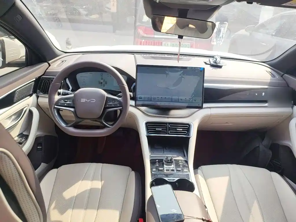 BYD PLUS New Energy — фото 10