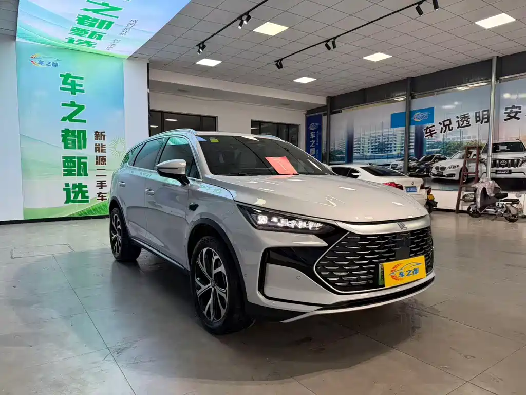 BYD Tang New Energy — фото 3