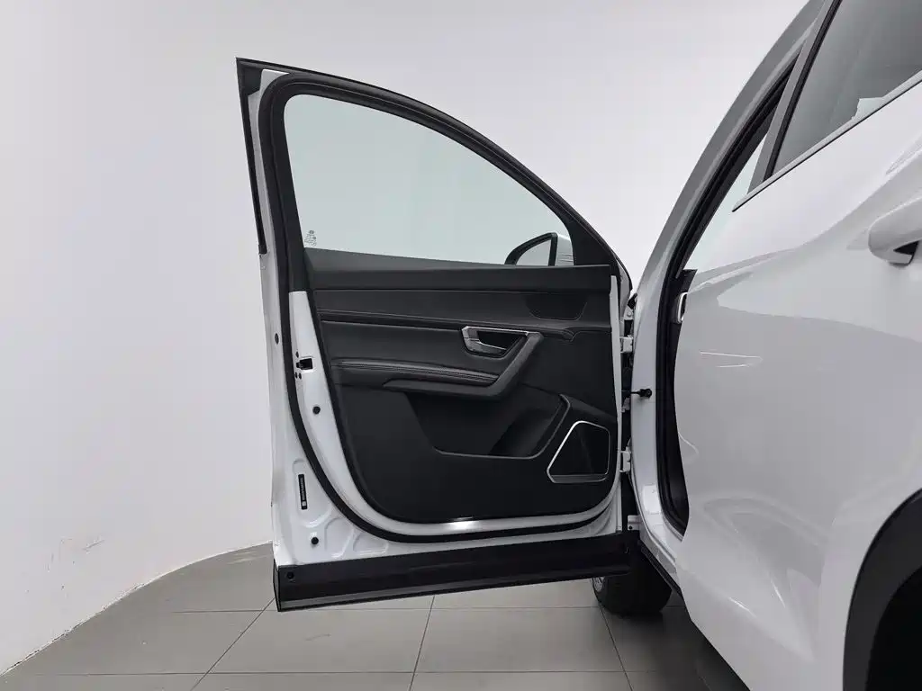 BYD Pro — фото 8