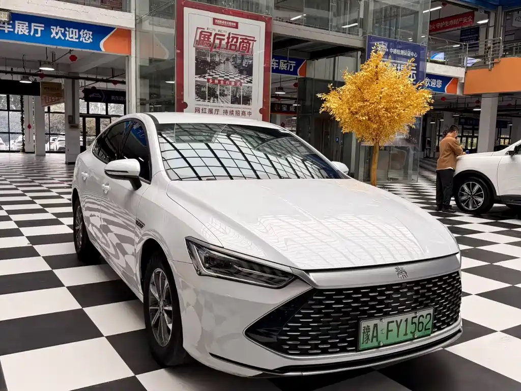BYD Qin PLUS — фото 3