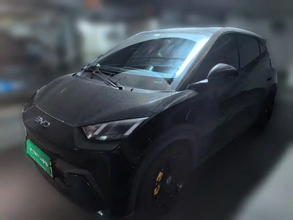 BYD Seagull