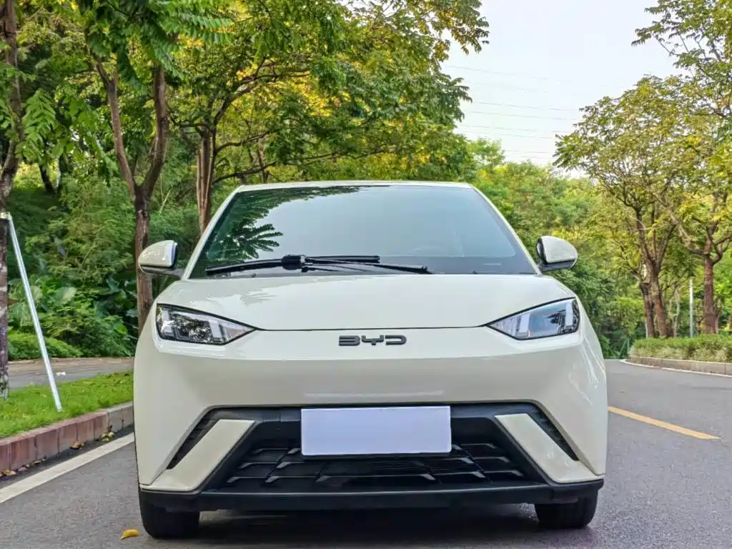 BYD Seagull — фото 2