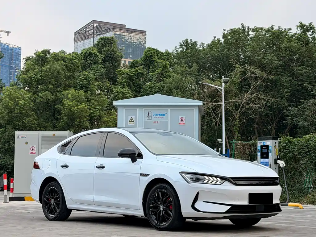 BYD Qin PLUS — фото 3