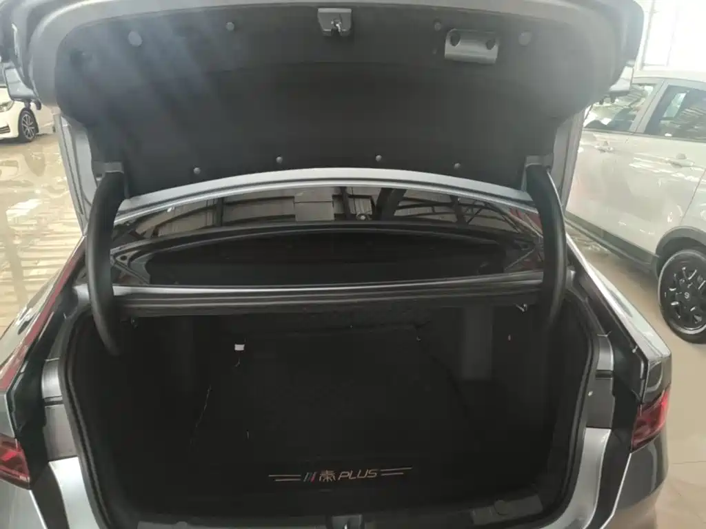 BYD Qin PLUS — фото 19