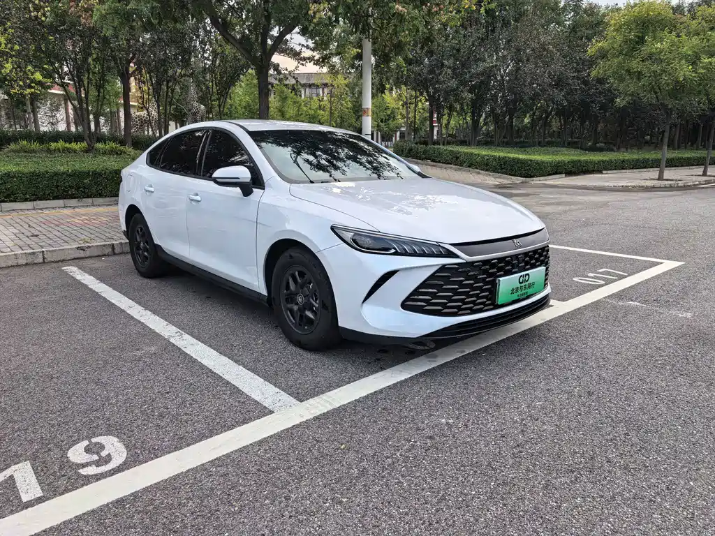 BYD Qin PLUS — фото 3