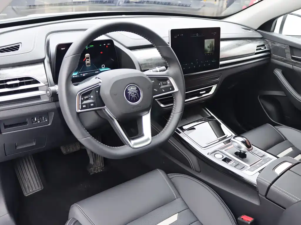 BYD Qin Pro NEV — фото 6
