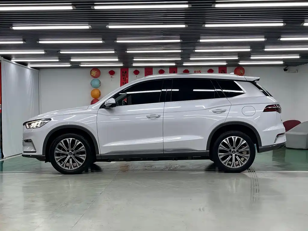BYD Pro New Energy — фото 4