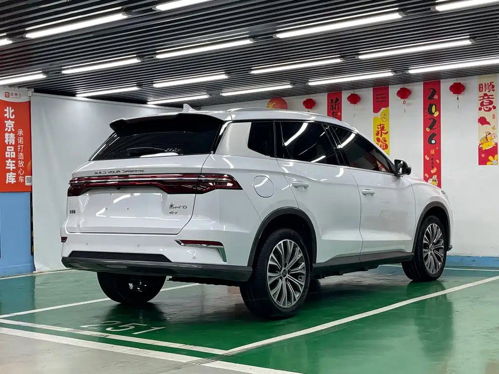BYD Pro New Energy — фото 5
