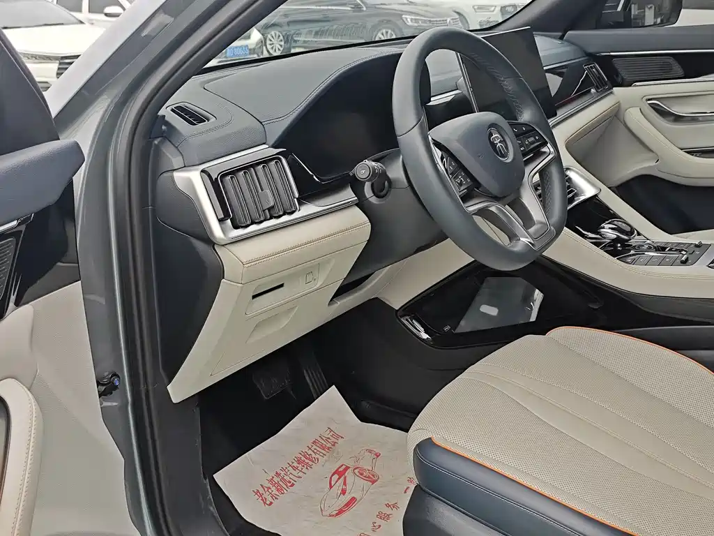 BYD PLUS New Energy — фото 4