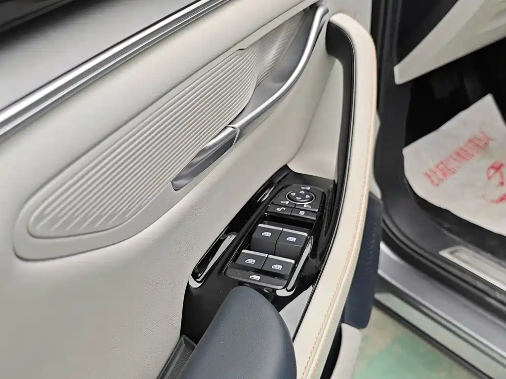 BYD PLUS New Energy — фото 5