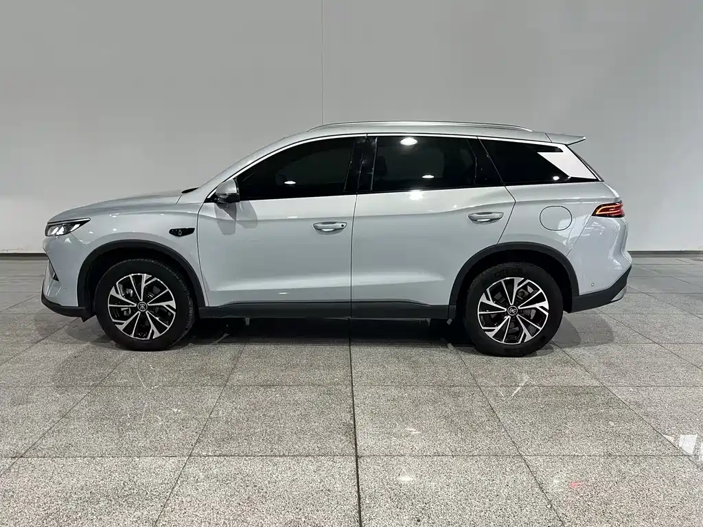 BYD Pro New Energy — фото 2