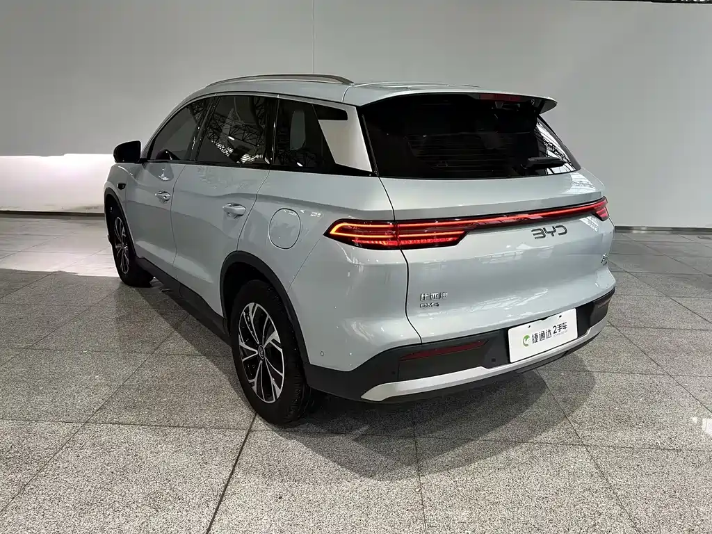 BYD Pro New Energy — фото 17