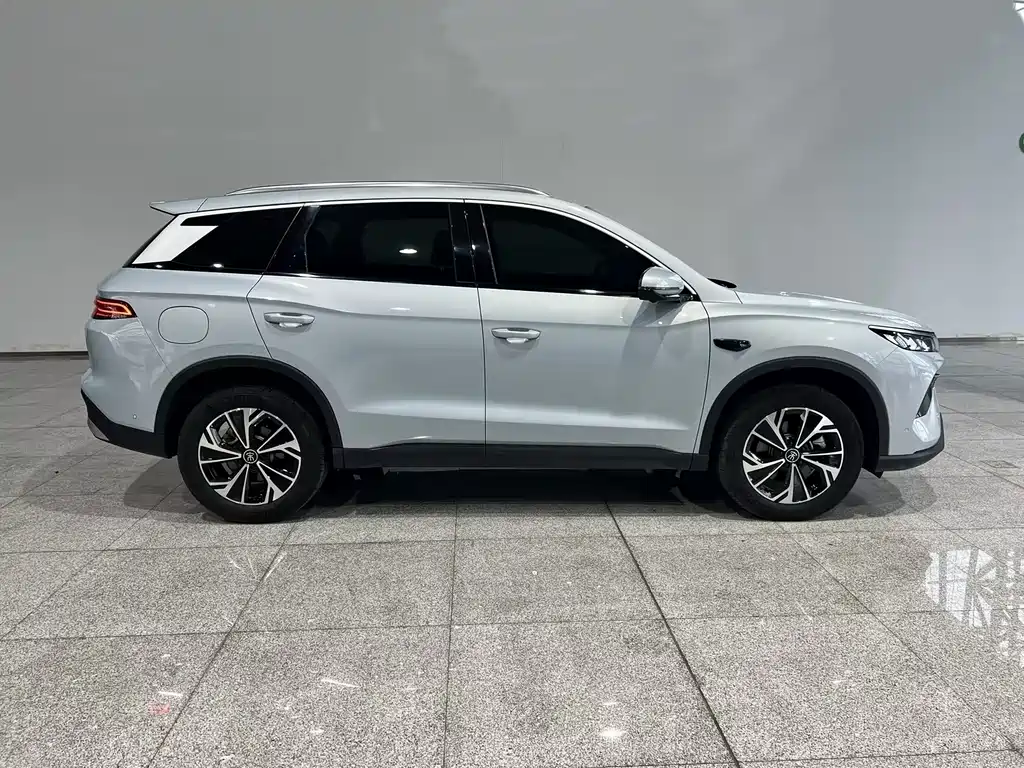 BYD Pro New Energy — фото 3
