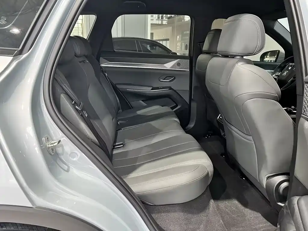 BYD Pro New Energy — фото 24