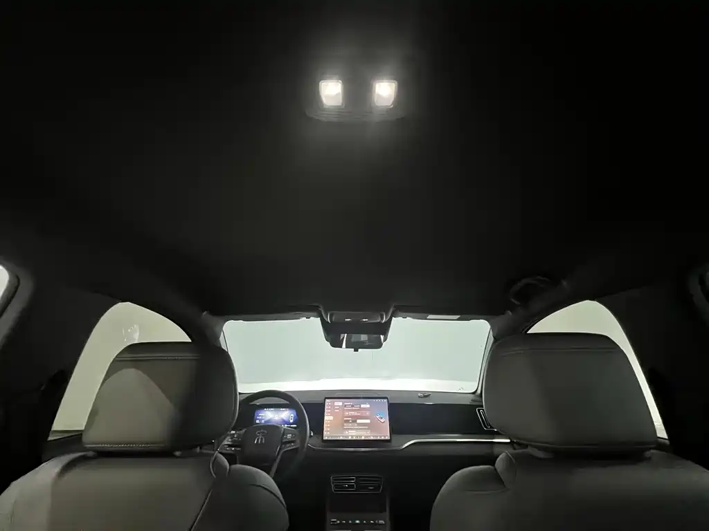 BYD Pro New Energy — фото 4