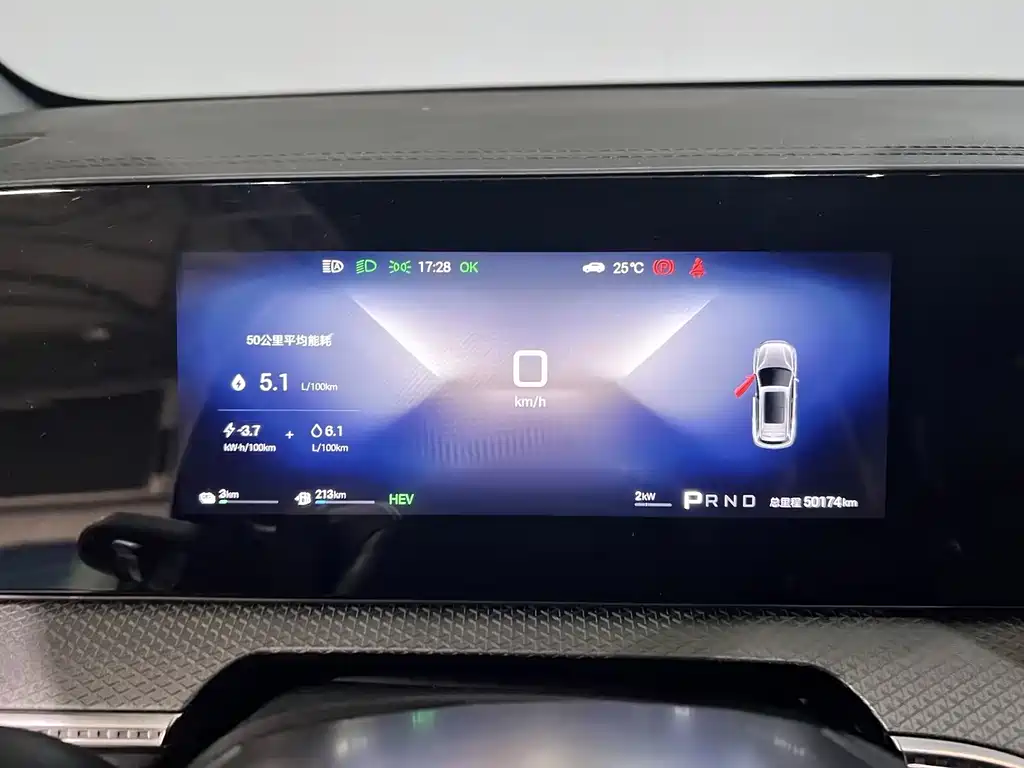 BYD Pro New Energy — фото 5
