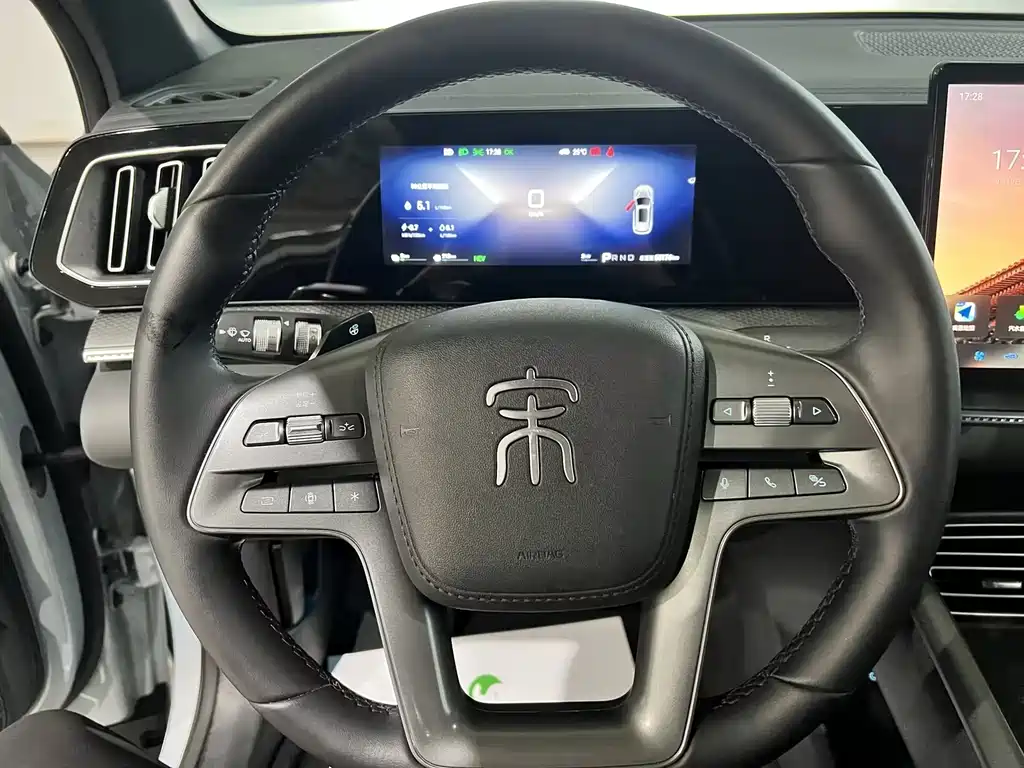 BYD Pro New Energy — фото 6