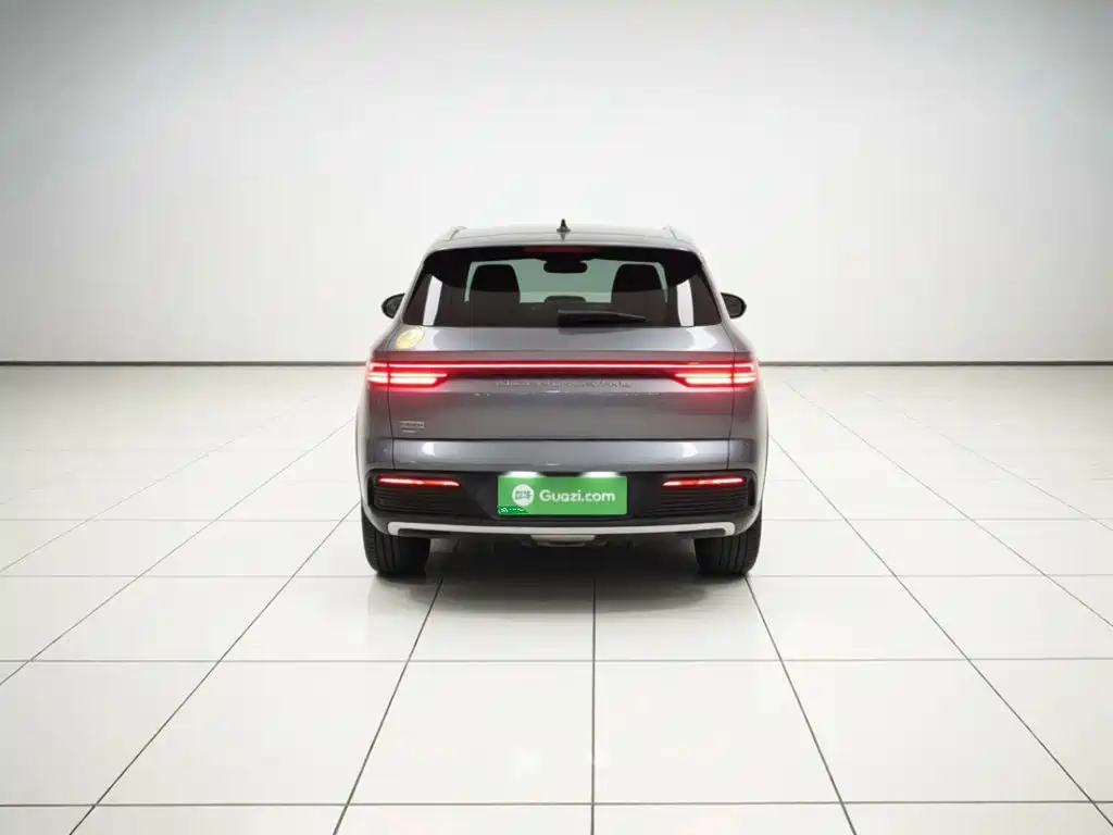 BYD Pro New Energy — фото 3