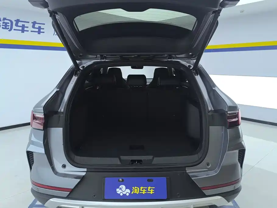BYD PLUS New Energy — фото 4