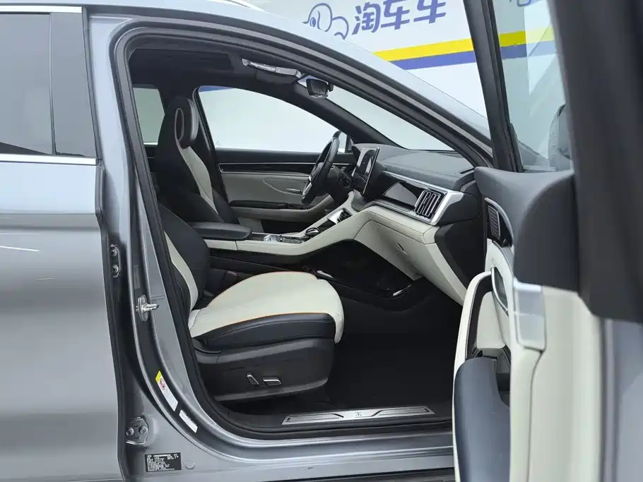 BYD PLUS New Energy — фото 8