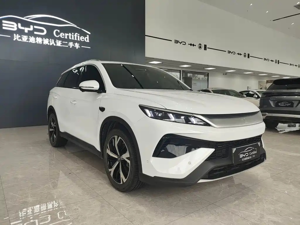 BYD Pro New Energy — фото 3