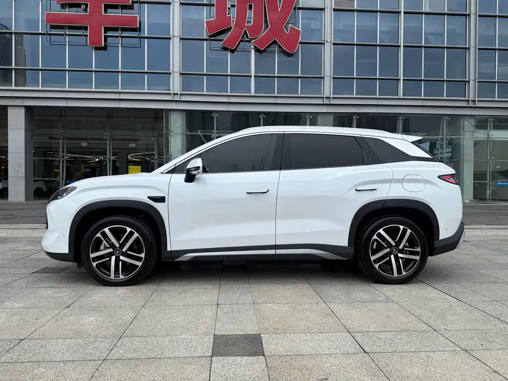 BYD L DM-i — фото 3