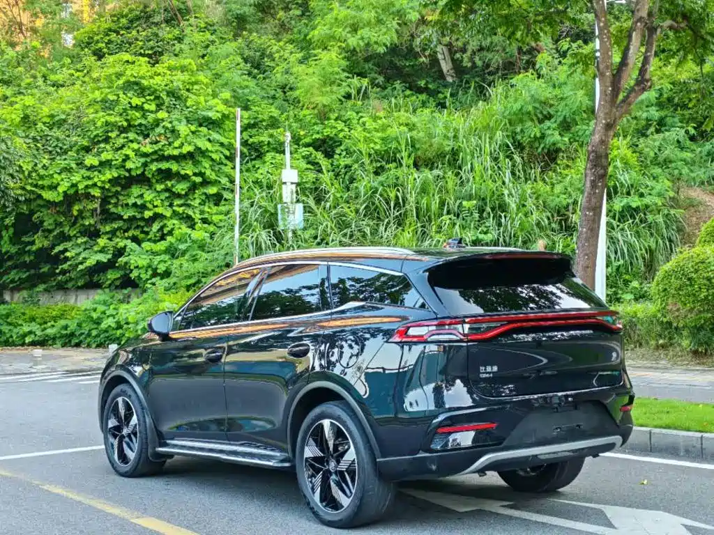 BYD Tang New Energy — фото 3
