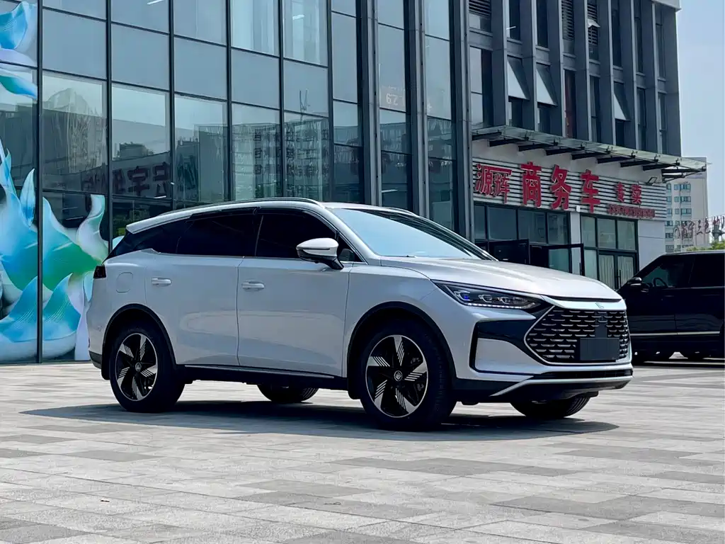BYD Tang New Energy — фото 3