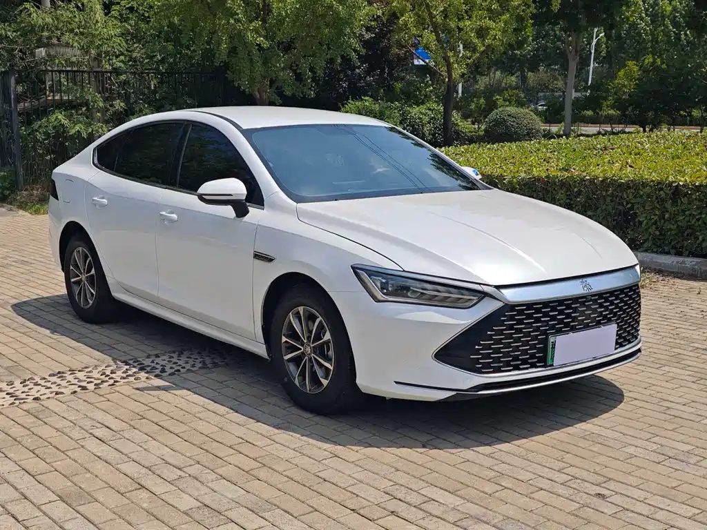 BYD Qin PLUS — фото 4
