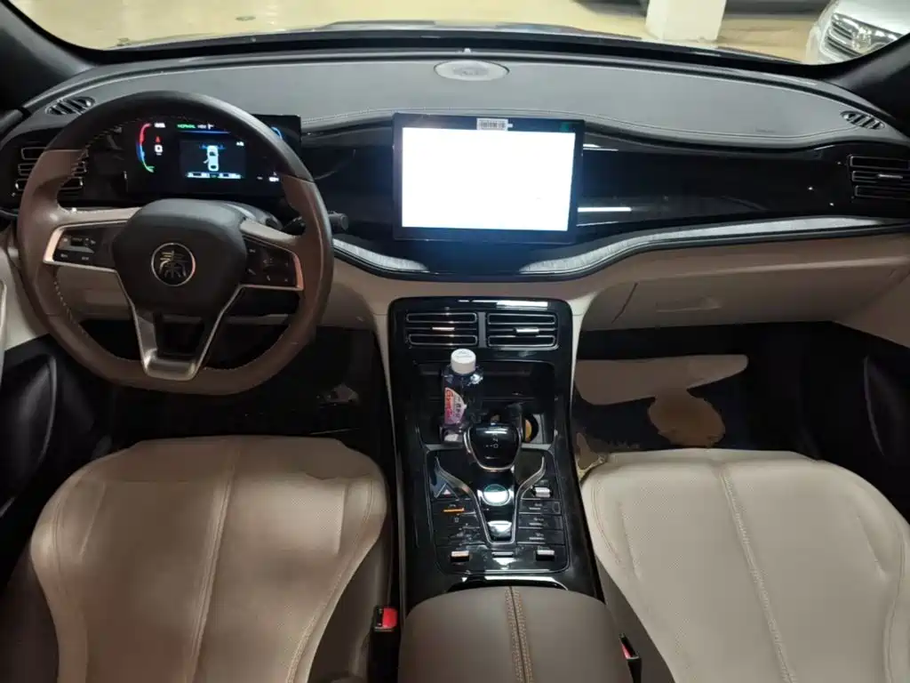 BYD Qin PLUS — фото 10