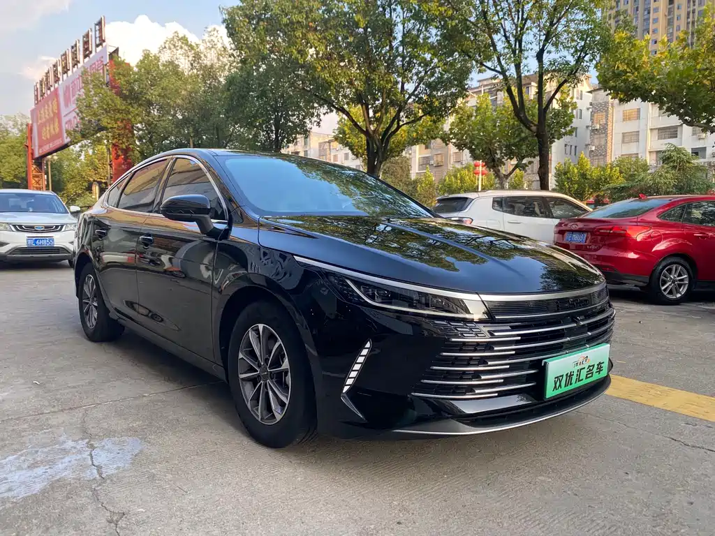 BYD Destroyer 05 — фото 3