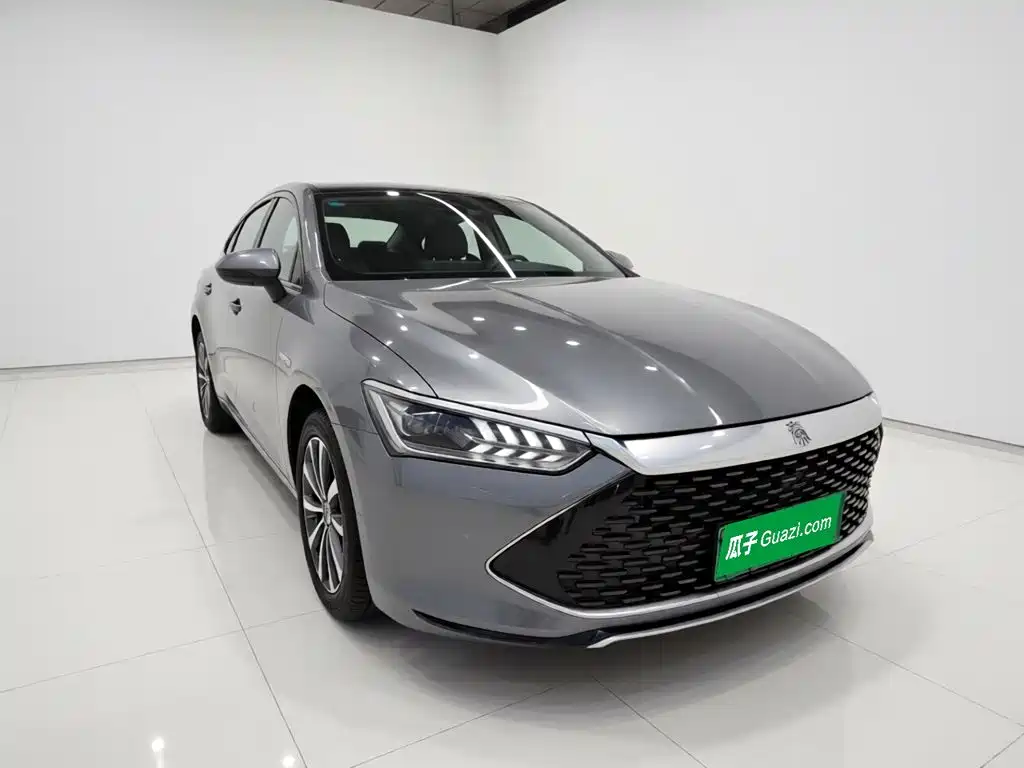 BYD Qin PLUS — фото 3