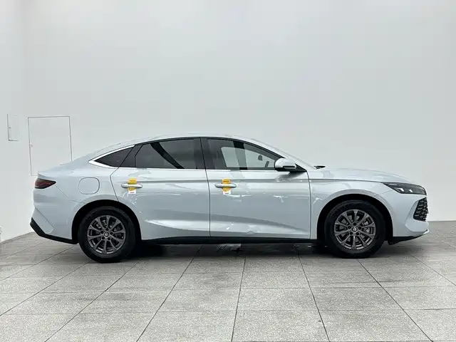 BYD Qin L — фото 7