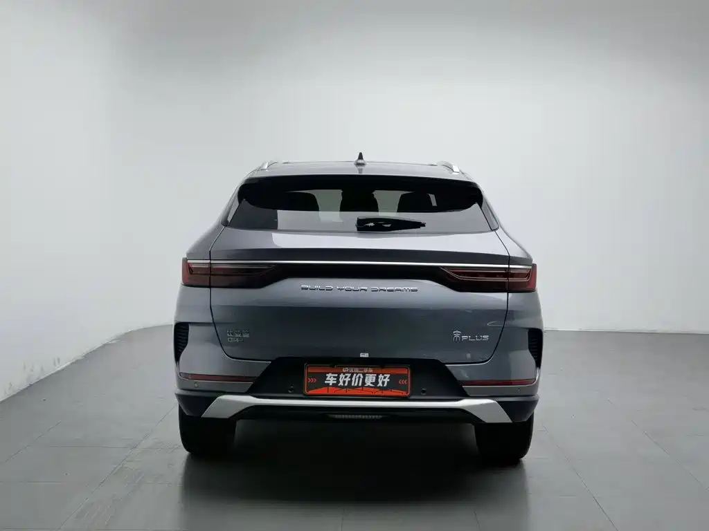 BYD PLUS New Energy — фото 4