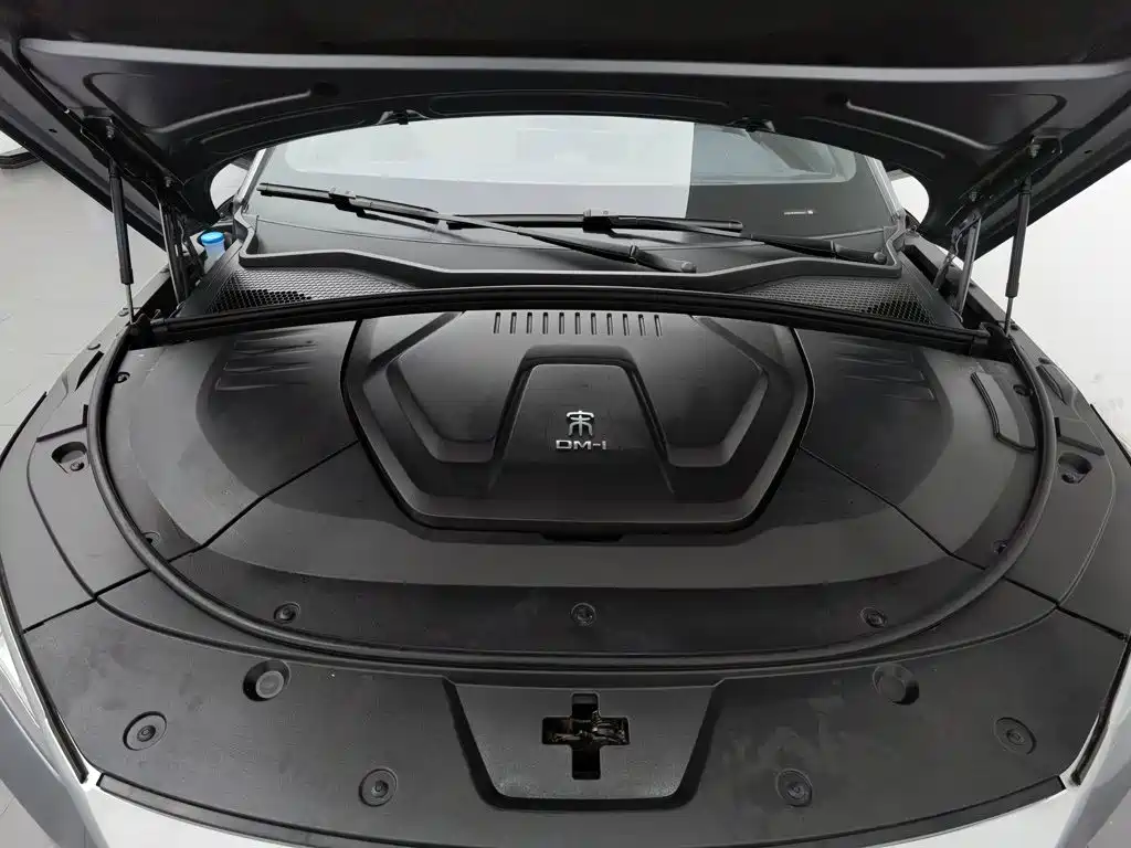 BYD PLUS New Energy — фото 6