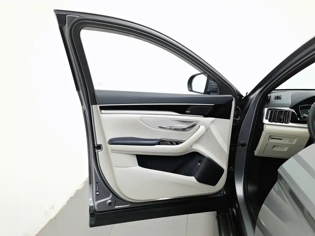 BYD PLUS New Energy — фото 8