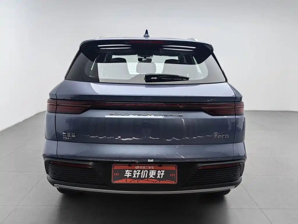 BYD Pro New Energy — фото 4