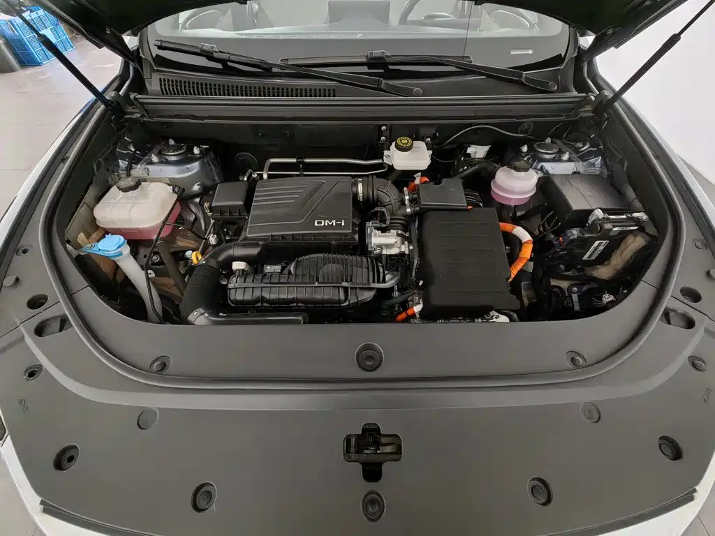 BYD Pro New Energy — фото 6