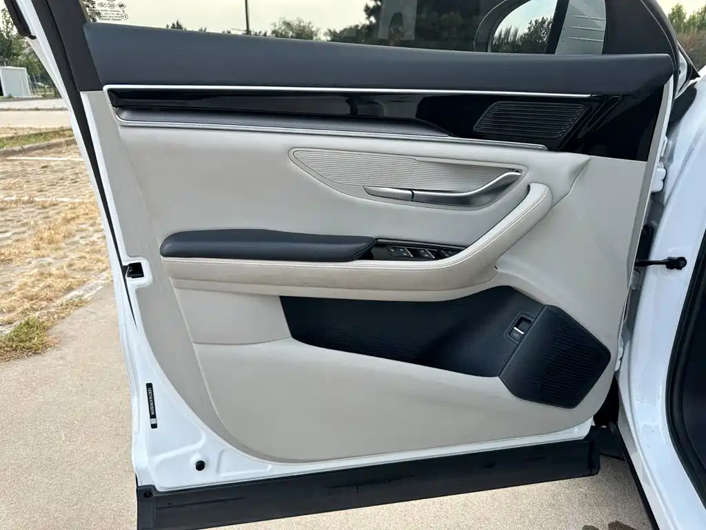 BYD PLUS New Energy — фото 14