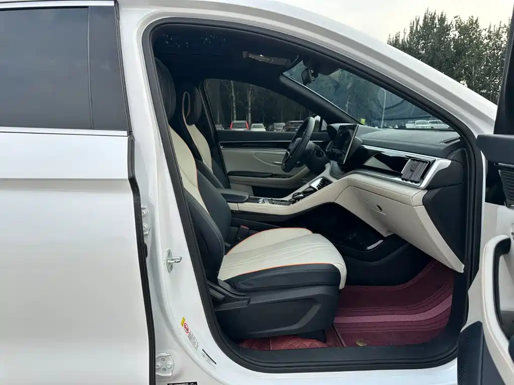 BYD PLUS New Energy — фото 17