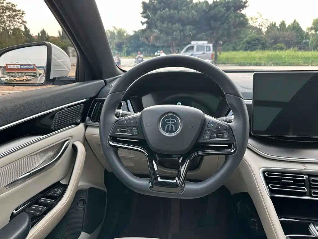 BYD PLUS New Energy — фото 22
