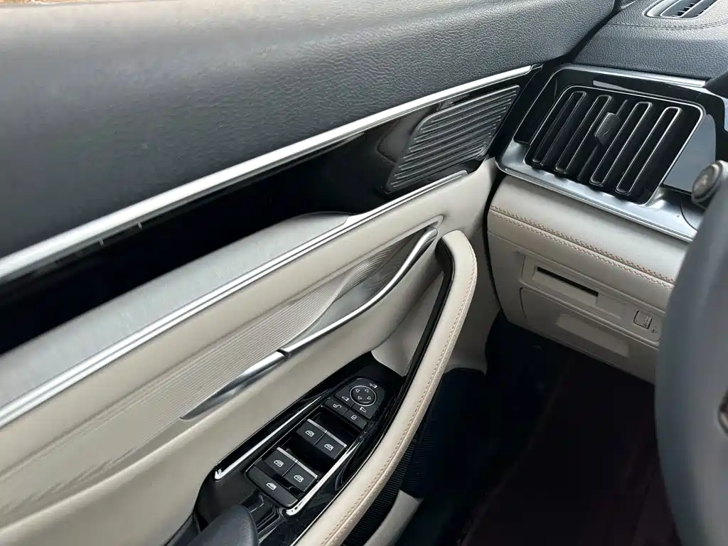 BYD PLUS New Energy — фото 24