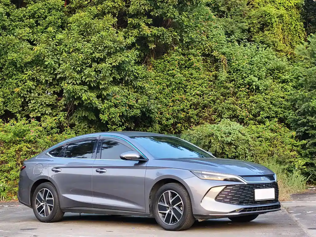 BYD Qin L — фото 2