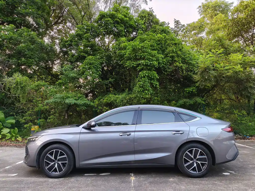 BYD Qin L — фото 3