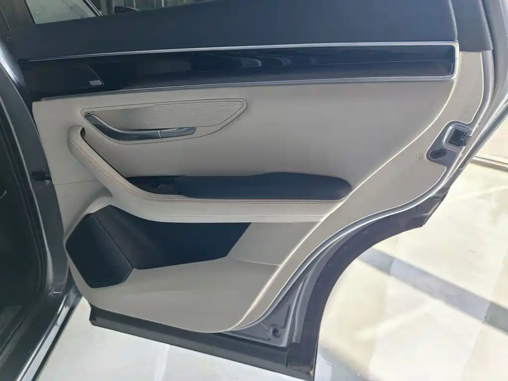 BYD PLUS New Energy — фото 17