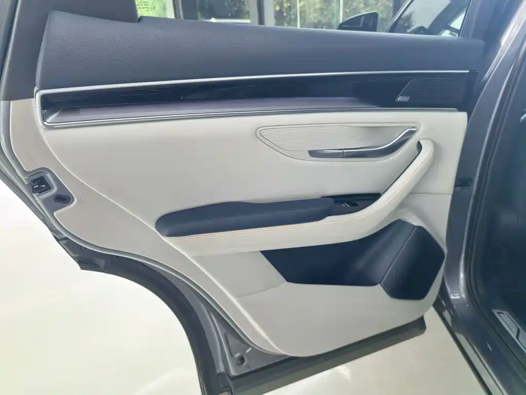 BYD PLUS New Energy — фото 10